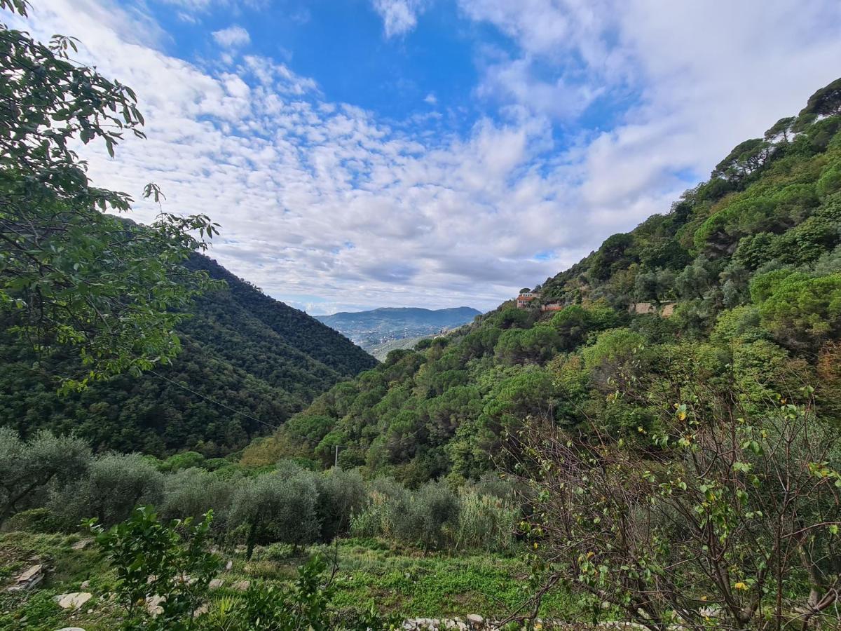 Castrusso Il Frantoio Di Rapallo By Portofinovacanze Bagian luar foto