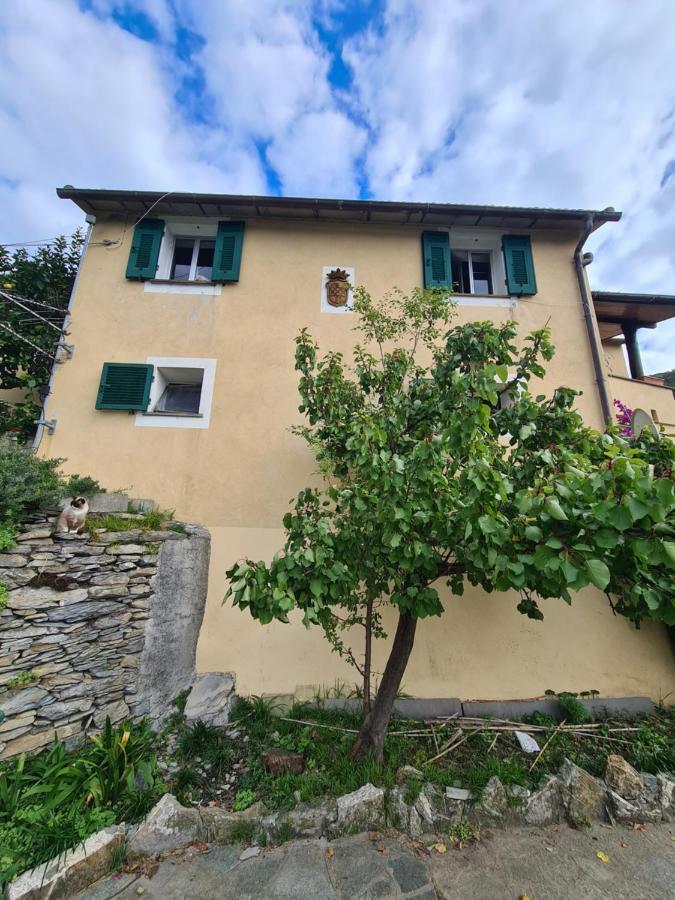 Castrusso Il Frantoio Di Rapallo By Portofinovacanze Bagian luar foto